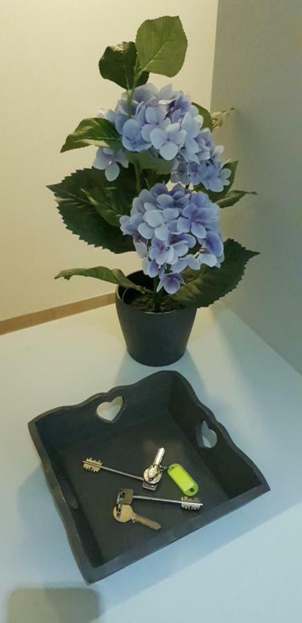 Campo De Fiori House Apartment Rome Luaran gambar